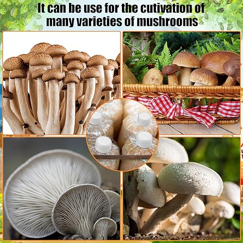 Miniatura 6 de 30 calcomanías de papel de filtro sintético de 0.3 m 2.283 in, disco de filtro sintético de boca ancha, filtro adhesivo circular para cultivo de