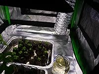 Review Image by Chris Hunter Chris Hunter