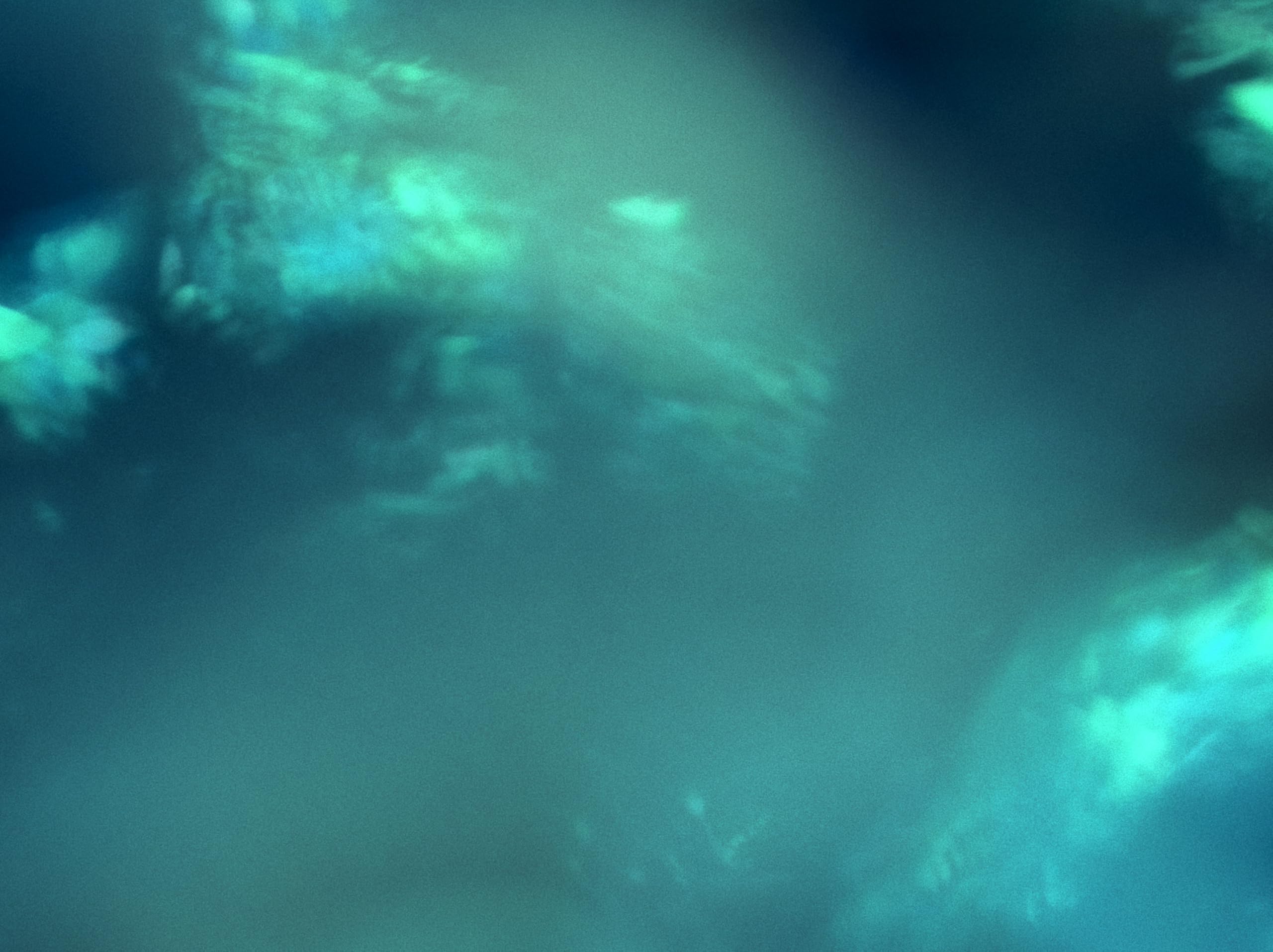 Antarctic Wastelands