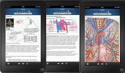 Encyclopedia of anatomy – vue 3
