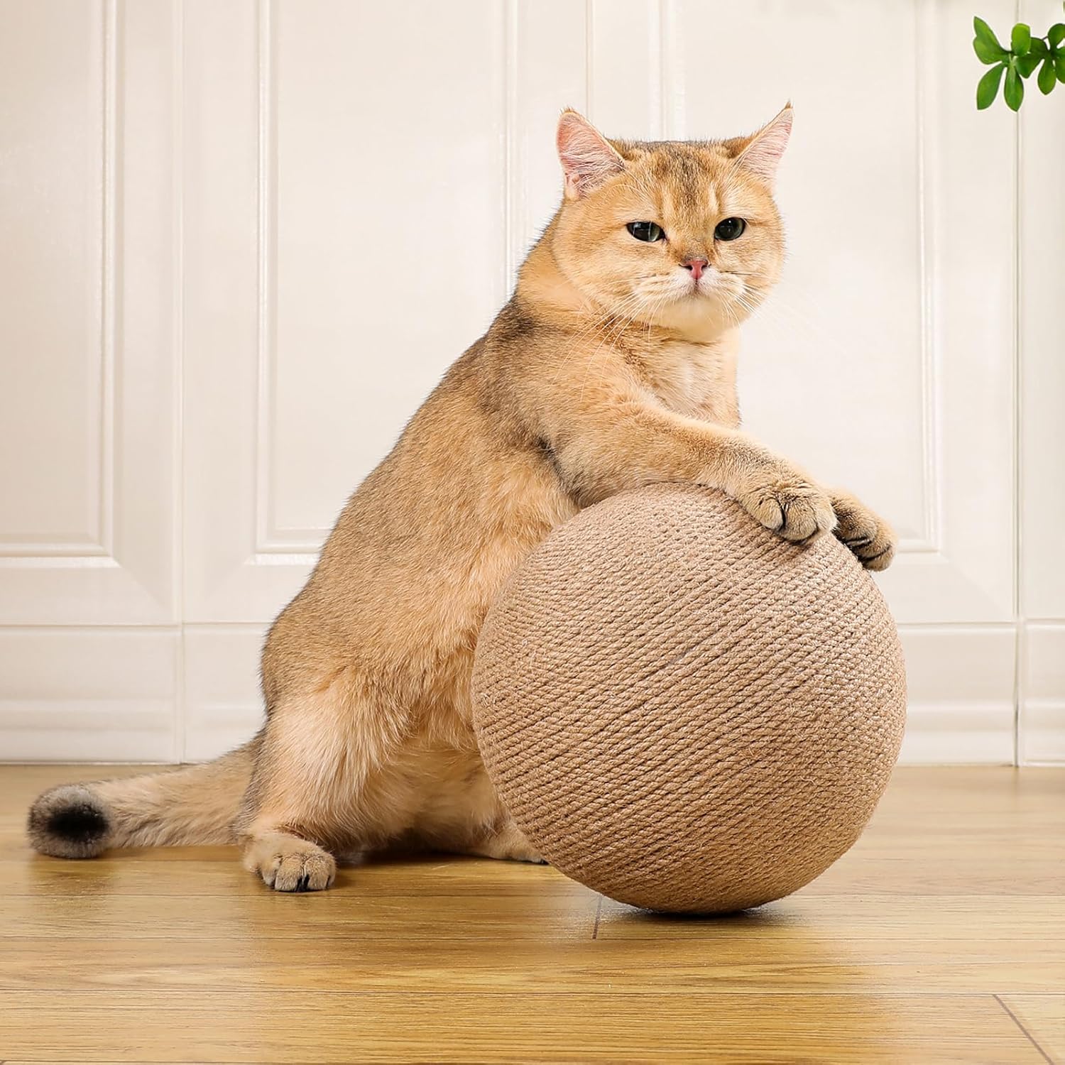 review Cat Ball Cat Scratching Ball for Interactive Enrichment and Play, Cat Scratching BallHeavy Duty Hemp Rope Toy, Stimulate Natural Behaviors and Furniture Deterrent, Engaging Scen