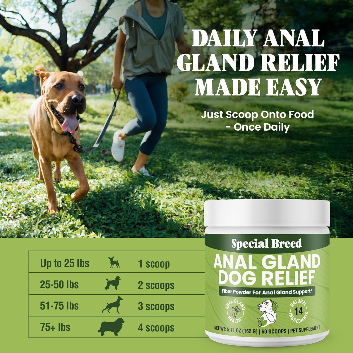 Anal Gland Dog Relief – Fiber for Dogs – 9X Fiber Power - Digestive Supplement Powder with 14 Natural Ingredients – Supports Firm Stools & Gut Health Treatment– 60 Scoops - 5.71oz (Pack of 2)