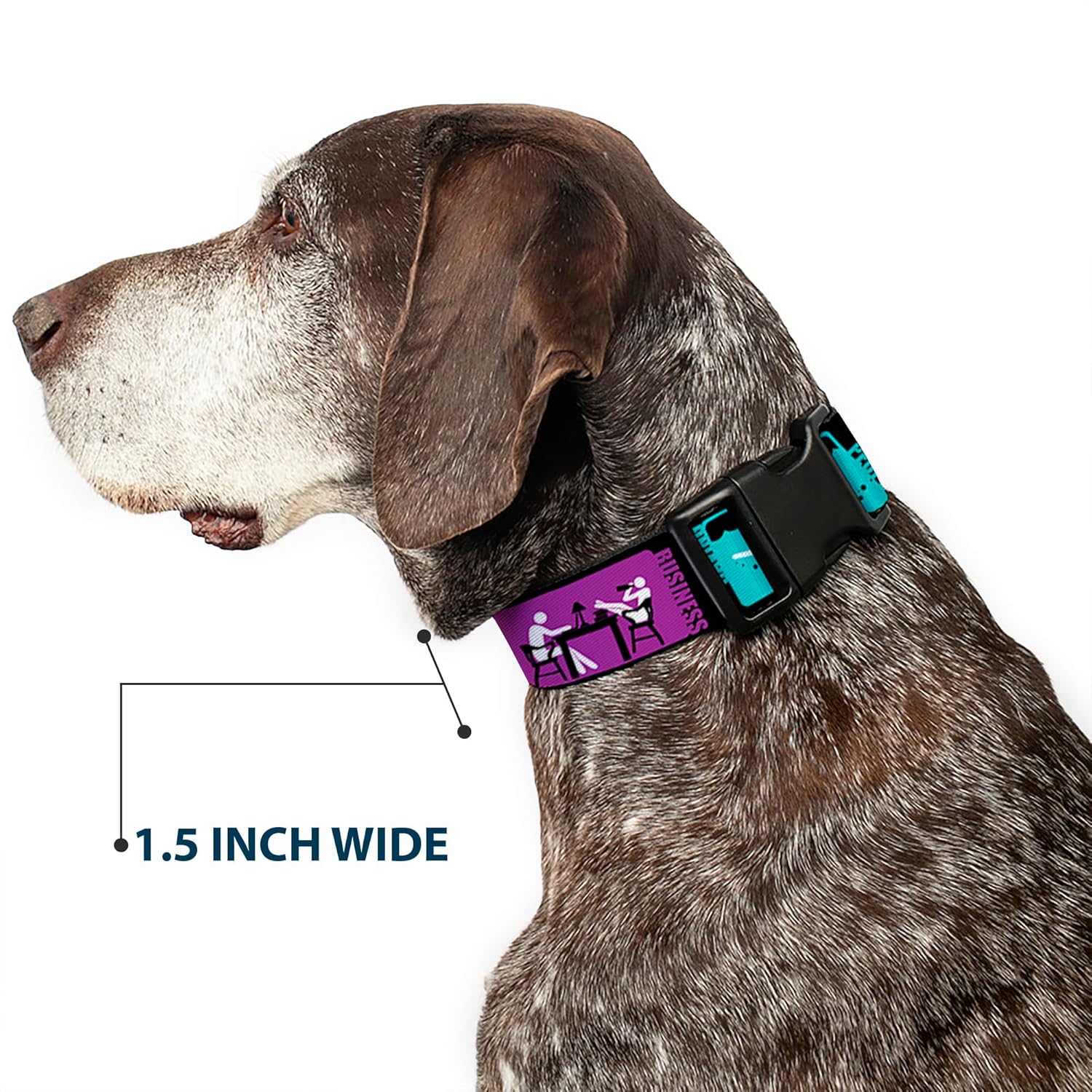 Supernatural Pet Collar, Dog Collar Plastic Buckle, Supernatural Saving People Hunting Things Family Business, 13 to 17 Inches 1.5 Inch Wide