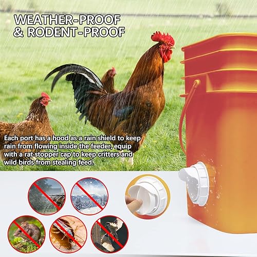 Miniatura 6 de Herramienta trituradora de pollo con tapa visible y alimentador de pollo DIY sin desperdicio, 6 puertos, blanco, alimentador automático para aves de