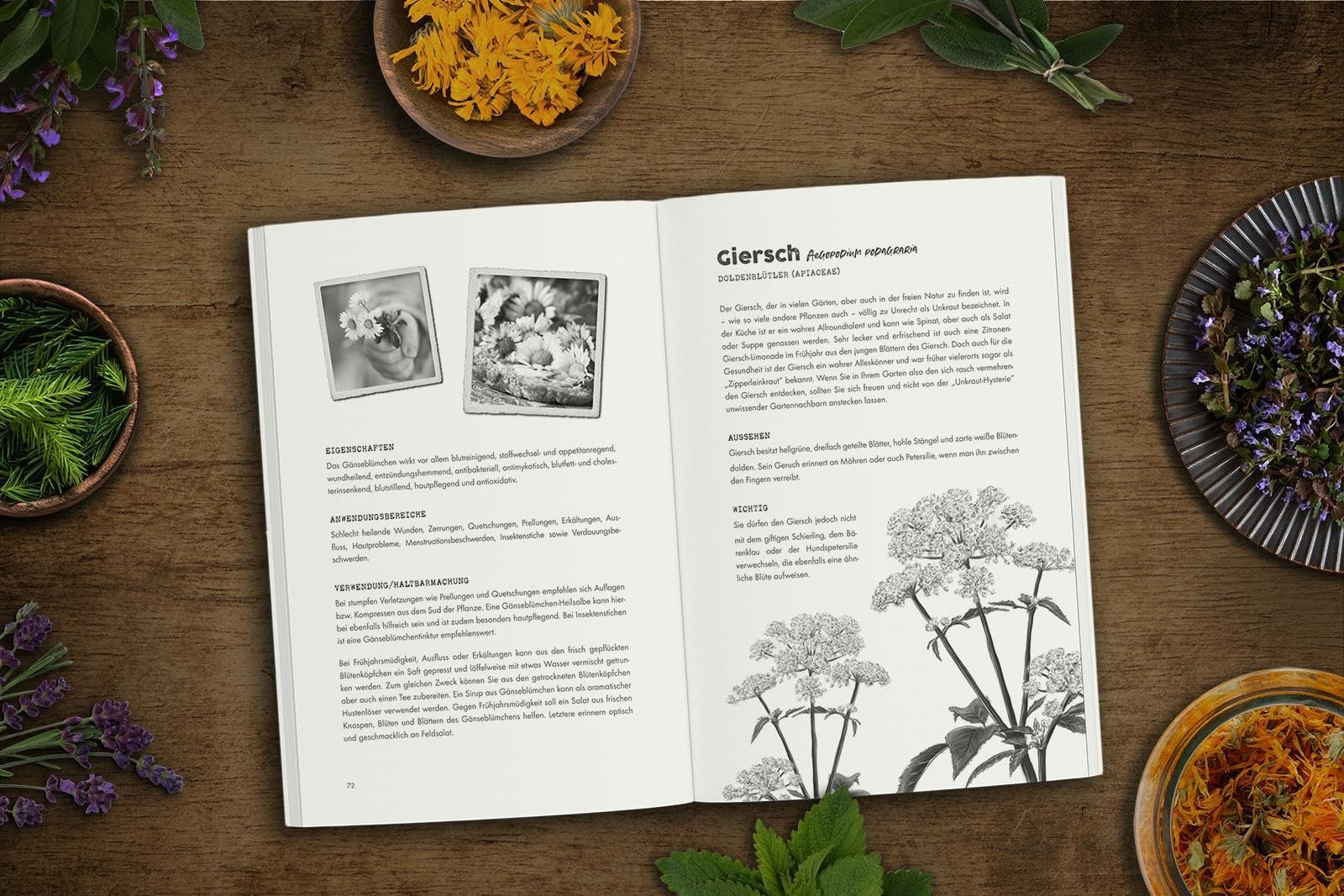 Das verlorene Handbuch der Kräutermedizin: Die heilende Kraft wirkungsvoller Kräuterheilmittel der Natur für mehr Gesundheit & Energie