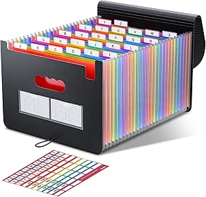 ThinkTex Accordeon File Organizer, 12 vakken uitbreidende bestandsmappen, draagbare maandelijkse factuur ontvangstbewijsorganizer, kleurrijke tabbladen, brief/A4-formaat