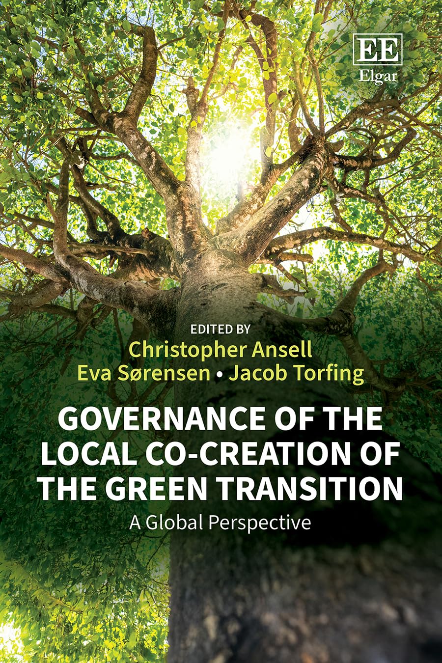 Governance of the Local Co-creation of the Green Transition: A Global Perspective