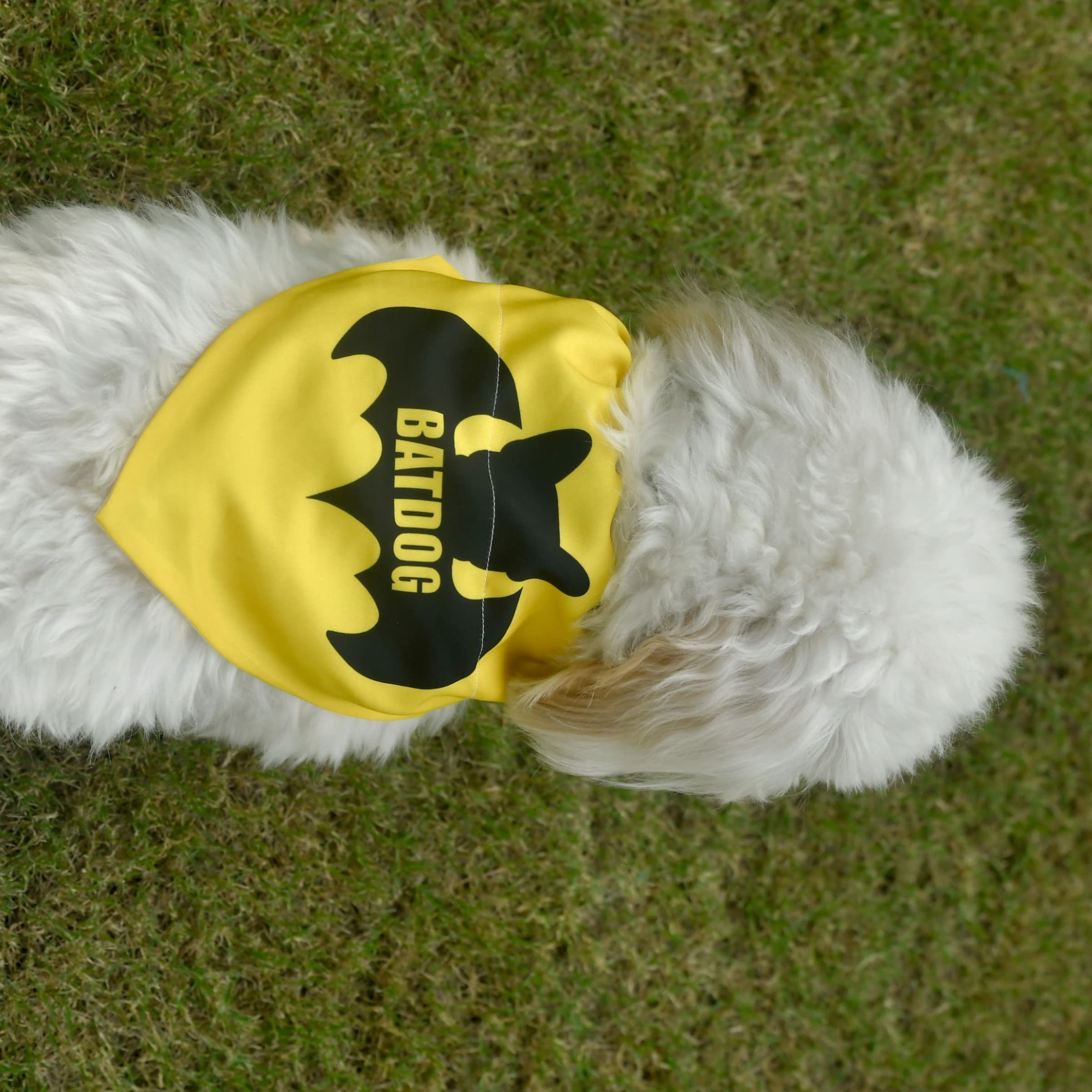 GROOMSOME Batdog Dog V-Bandana/Dog Scarf (Size: Large) Yellow Pack of 1 (B09QBC3LRP) Amazon Price History, Amazon Price Tracker