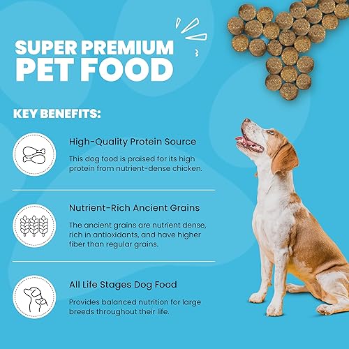 Miniatura 4 de Muenster Ancient Grains - Alimento seco para perros grandes con sabor a pollo (22 libras), sin gluten, sin OMG, con alto contenido de proteínas,