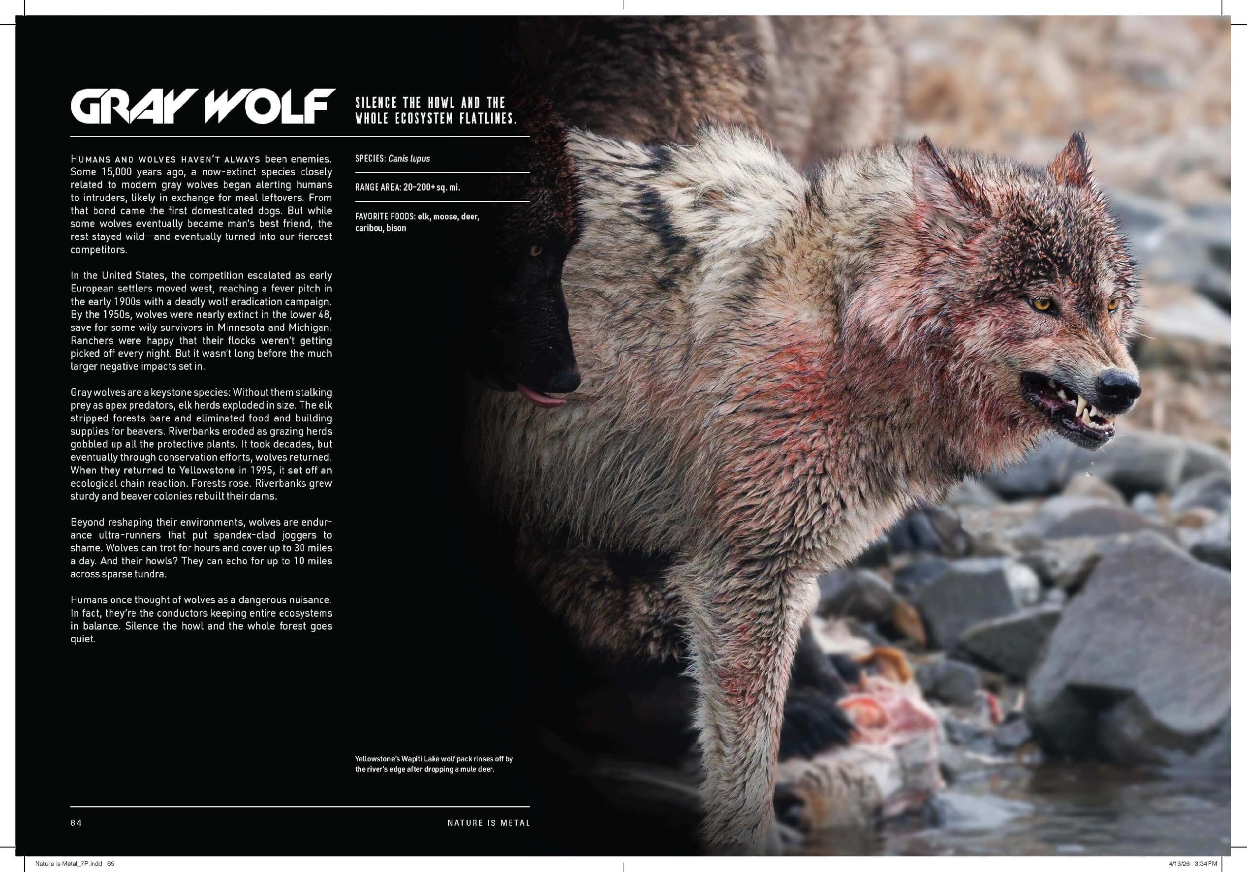Nature Is Metal: It's a Life-Eats-Life World
