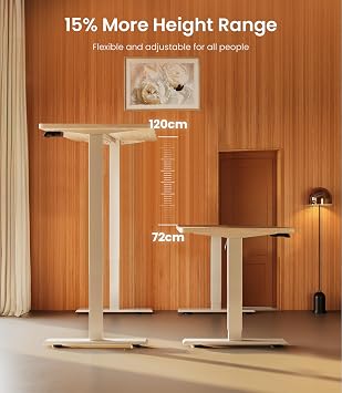 MAIDeSITe Electric Standing Desk - Height Adjustable Sit Stand Desk with 160 * 80 * 2.5cm Desktop for Home Office