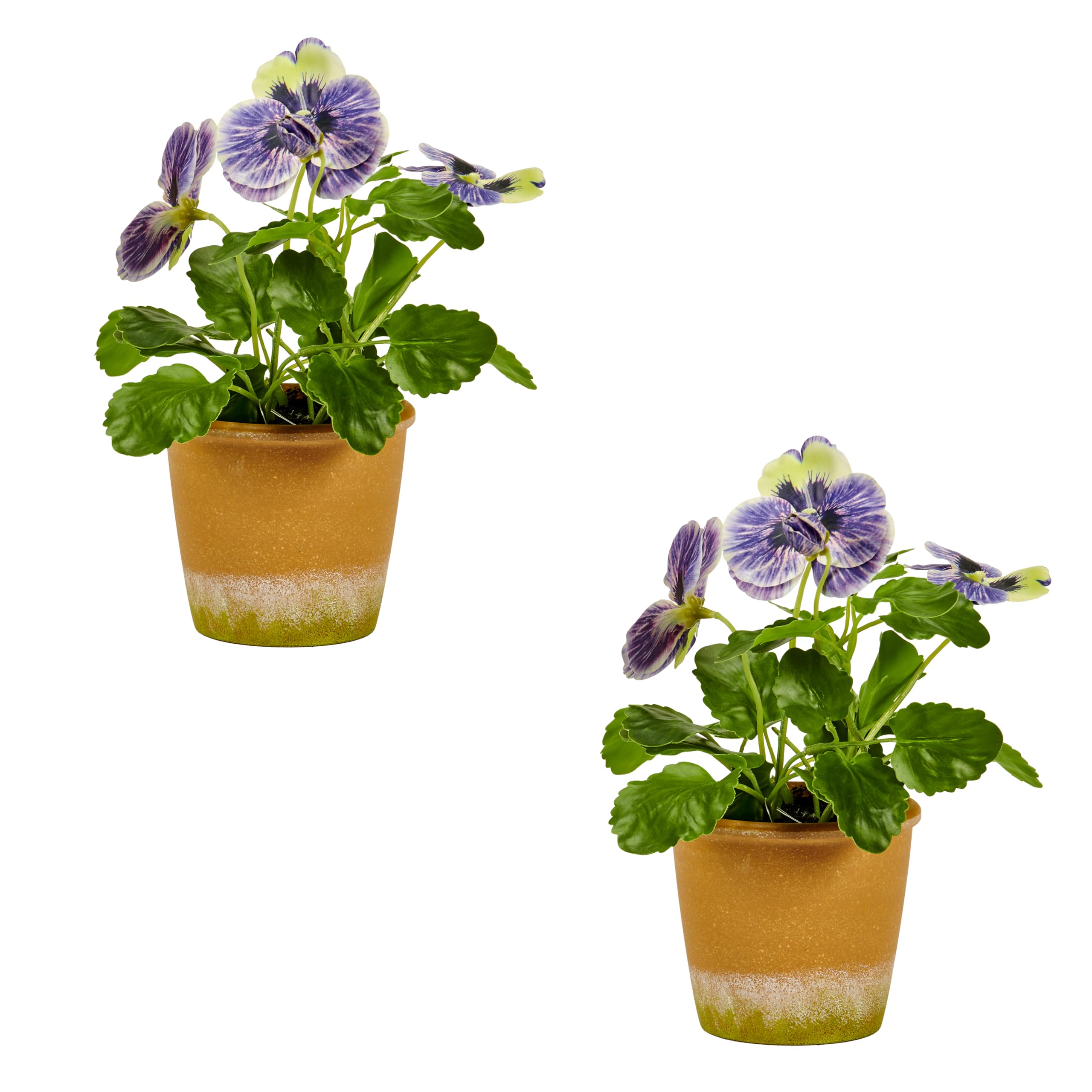 Pensée bleue de 25,4 cm plante en pot de 10,2 cm au réalisme saisissant et pétales soyeux
