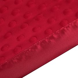 Pro Goleem Baby Soft Minky Dot Blanket with Silky Satin Backing Baby Gifts for Boys and Girls (Red, 30 x 40)