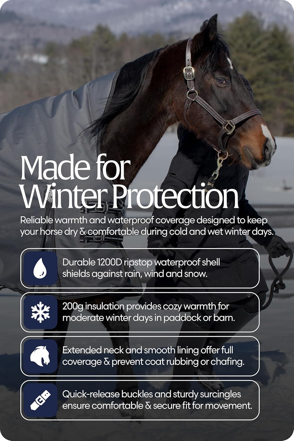 Equinavia Arktis Extended Neck Mid Weight Turnout Blanket 200g - Charcoal Gray - 75 in