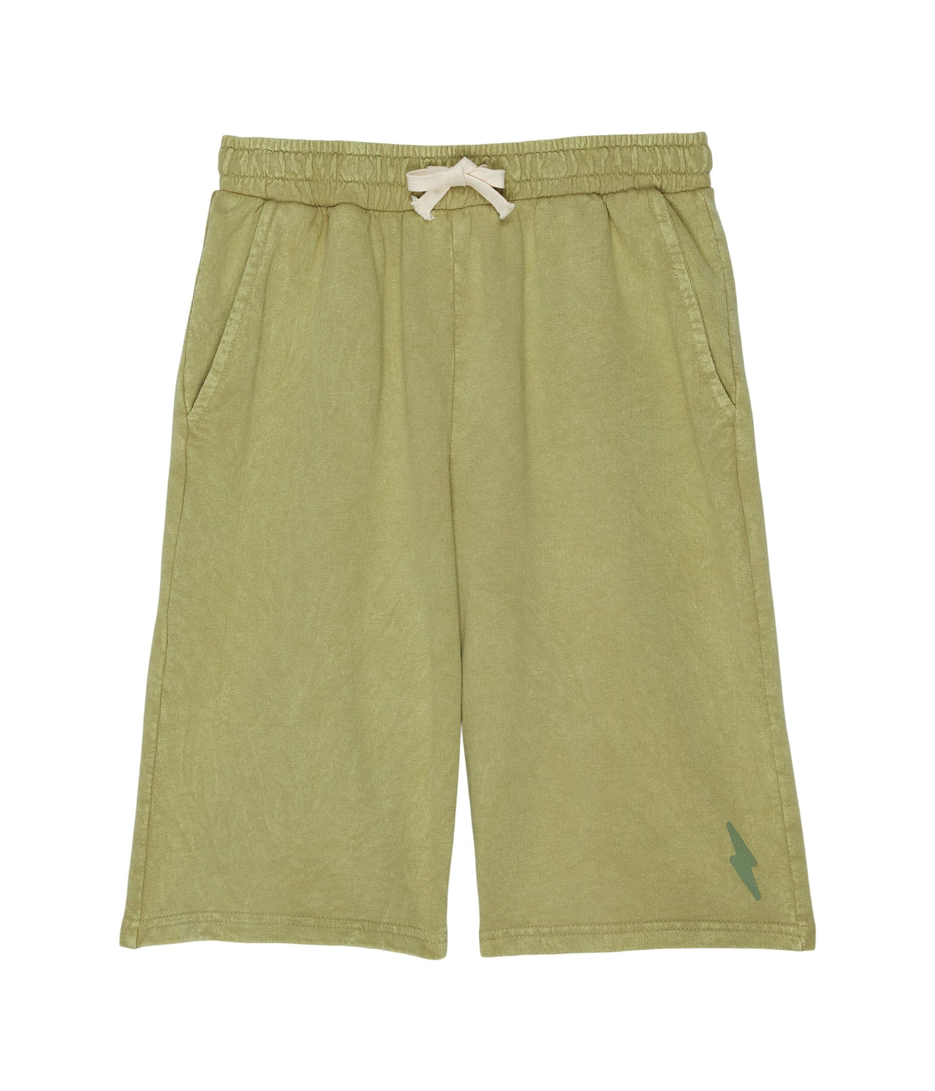 Boy's Stoney Creek SweatShorts (Toddler/Little Kids/Big Kids) Mineral River 3T (Toddler)