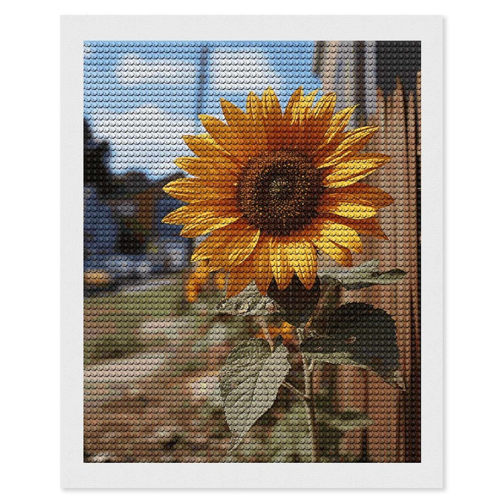 NONHAI Diamond Painting Kits for Adults - DIY Diamond Art Kits for Beginners - Full 5D Paint Drill Diamond Dots Paintings- Farm Sunflower Diamonds Pictures Gem Art and Craft Wall Decor 16"x20"