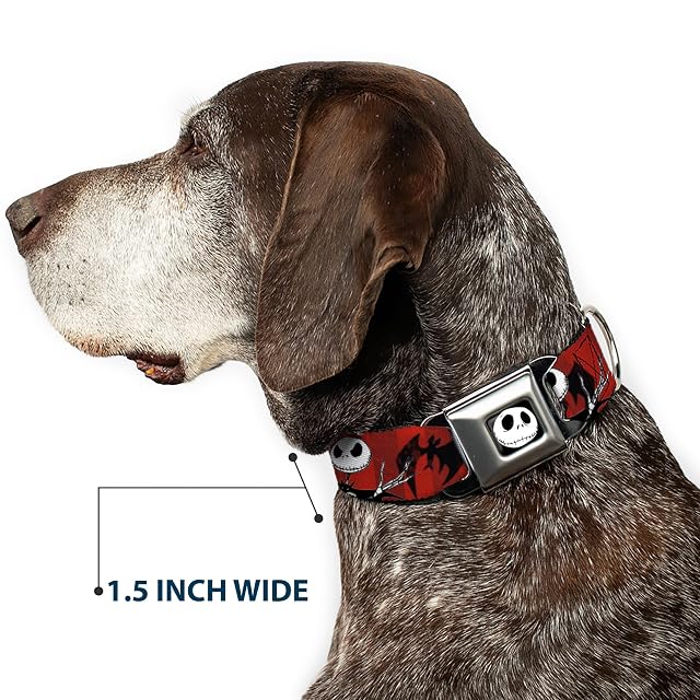 Foto 7 de 8 de Buckle Down DC-WDY035-SÂ DYAH Jack Expression5 - Collar de Perro a Todo Color, pequeño/22,86 cm