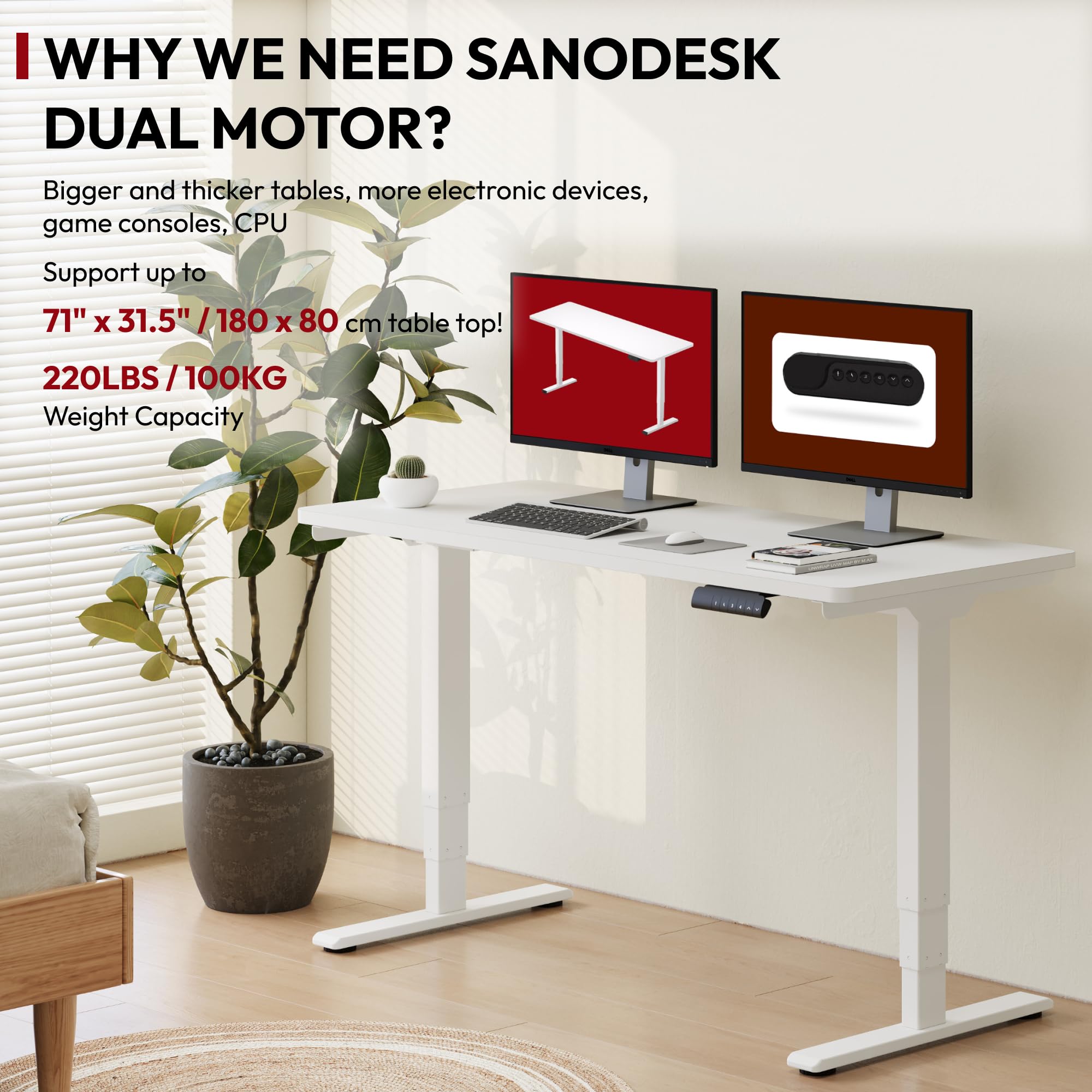 Amazon.com: SANODESK 55