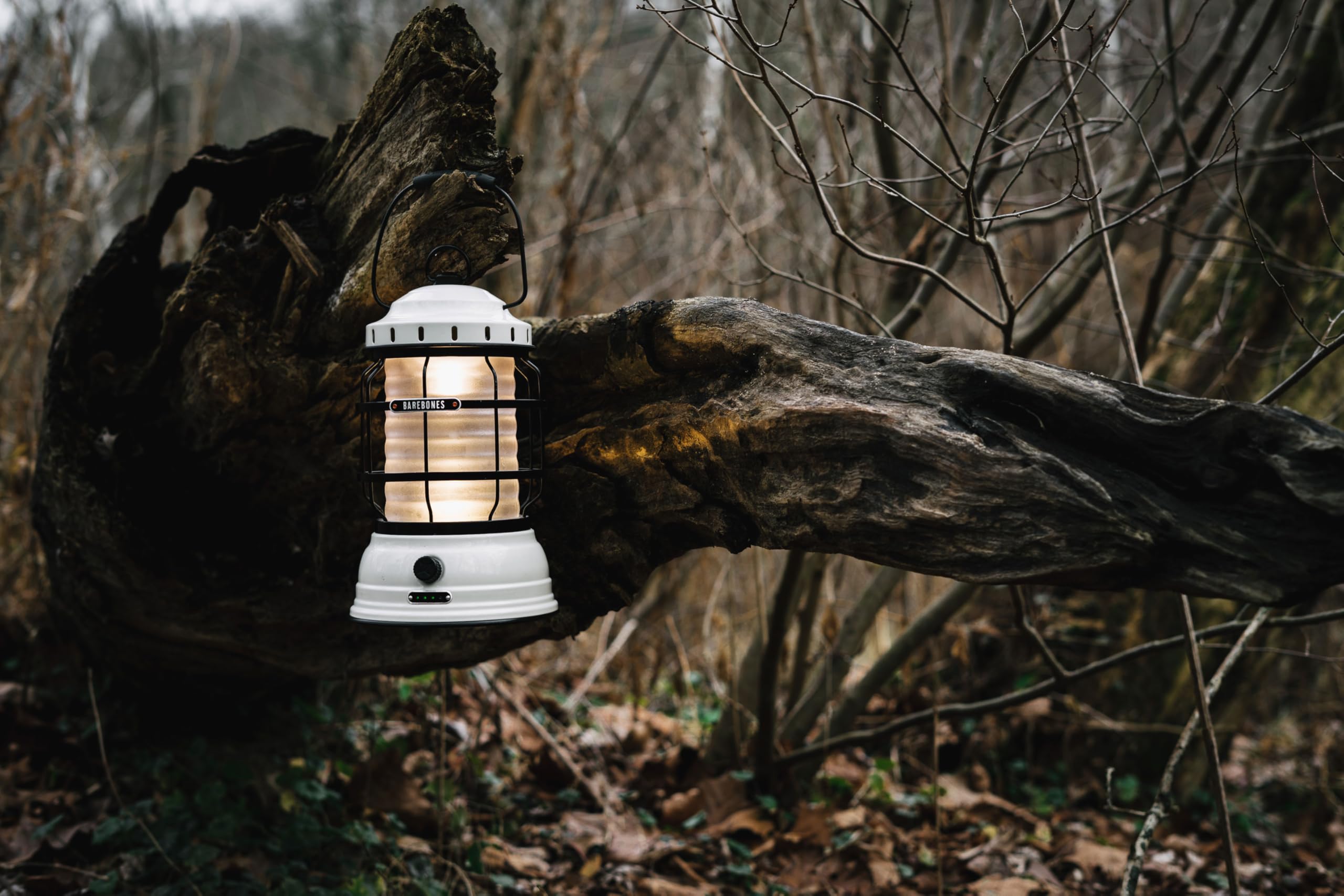 Amazon.com: Barebones Forest Lantern – Vintage White, Vintage