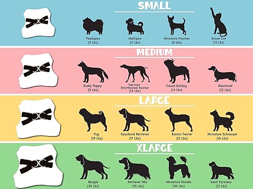 Miniatura 5 de Brd Gifts Arnés bordado para perro, sin tirones, con nombre del perro, 5 fuentes, 7 iconos, arnés tipo chaleco de malla para perros pequeños y