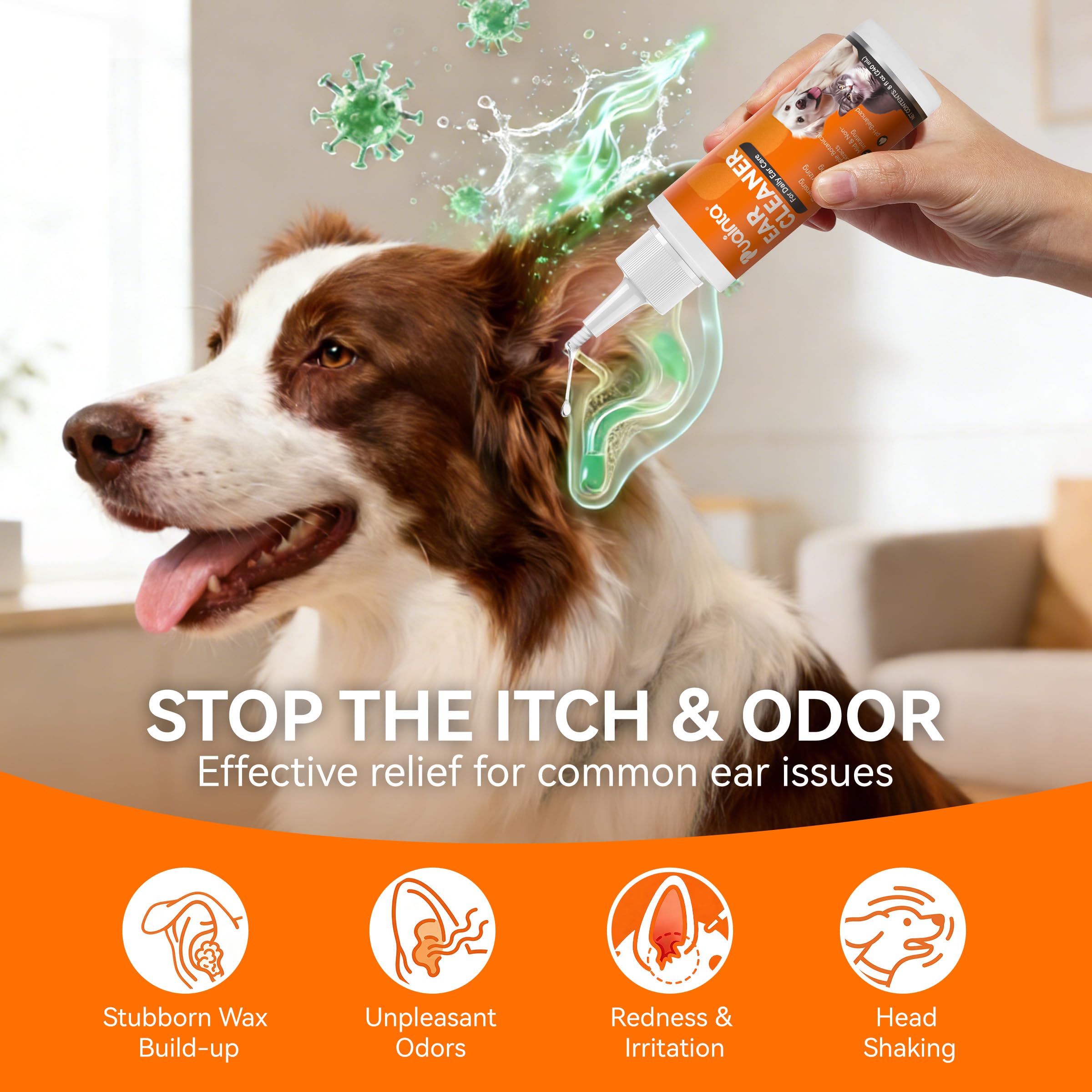 Dog Ear Cleaner Solution - Alcohol-Free Ear Wash with Quantum Silver & Witch Hazel - Soothes Itch, Removes Wax & Odor - Gentle Daily Flush for Dogs & Cats (8 oz) - image 3