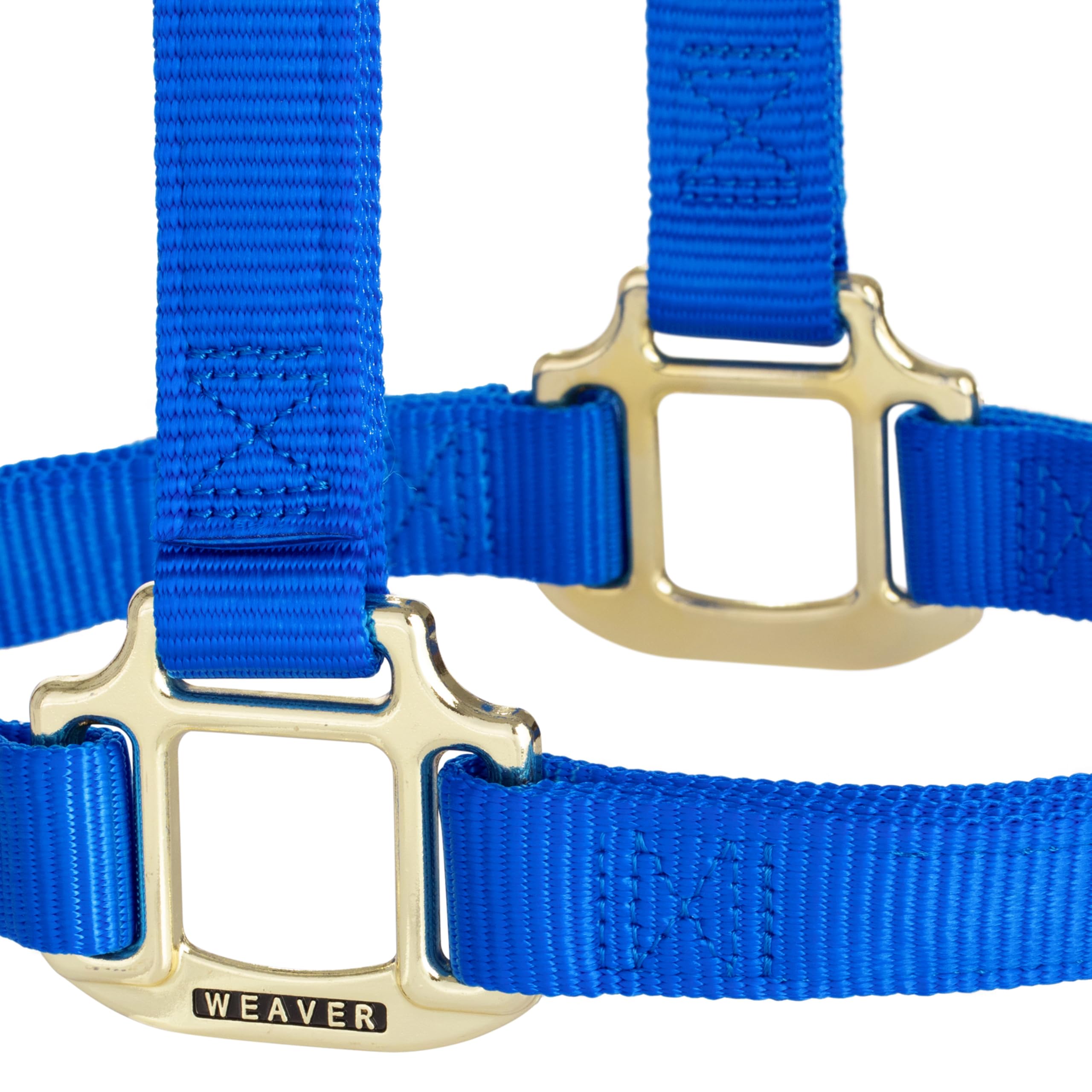 Weaver Leather Original - Cavezza non regolabile, per cavallo tra 1 e 2 anni, M, blu