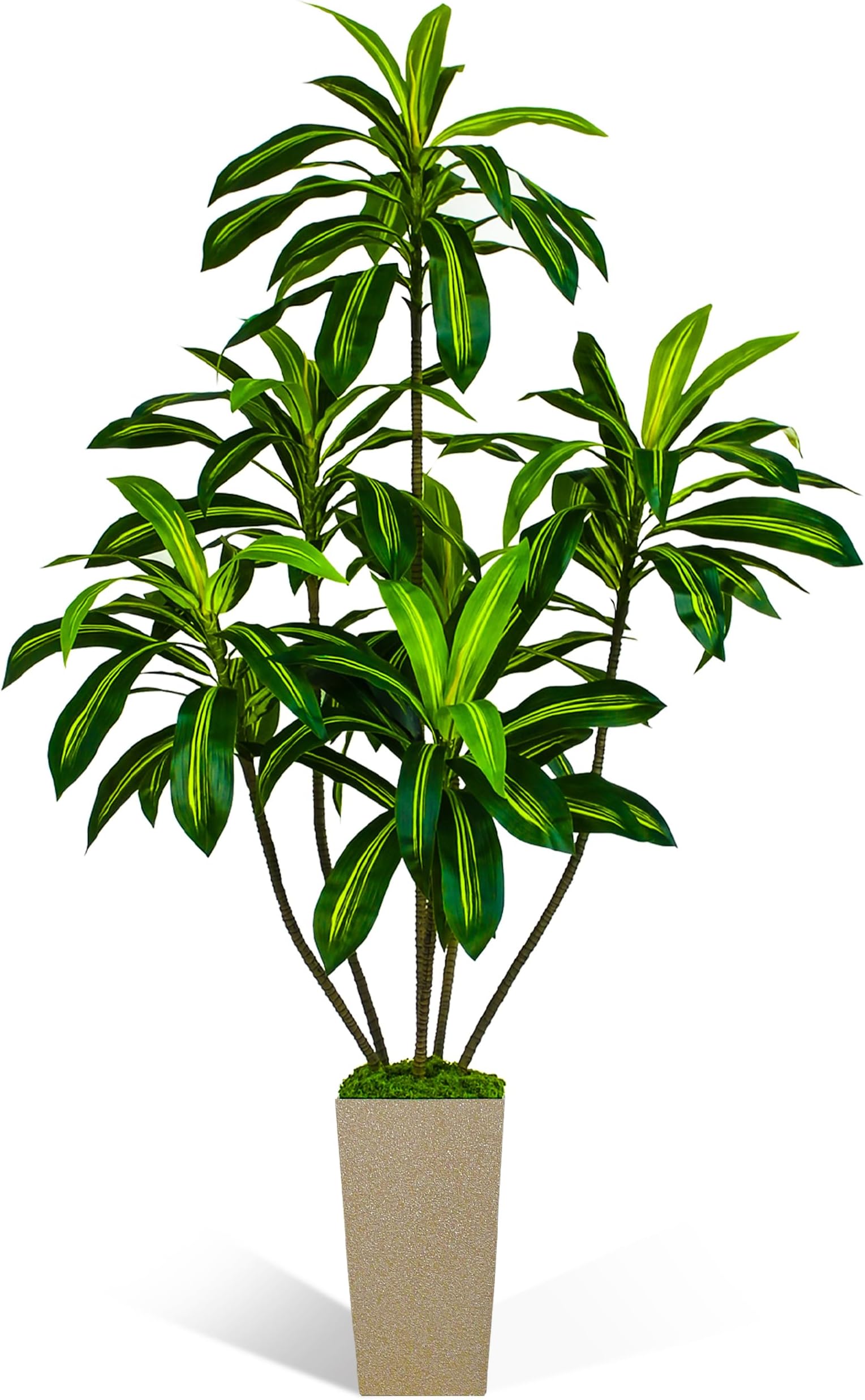 Artificial Dracaena Tree 6FT, 6 Feet Tall Fake Tree for Home Decor Indoor with Modern Style Planter, Artificial Silk Tree for Home Office Living Room Indoor, Lifelike & Lush (Champagne)
