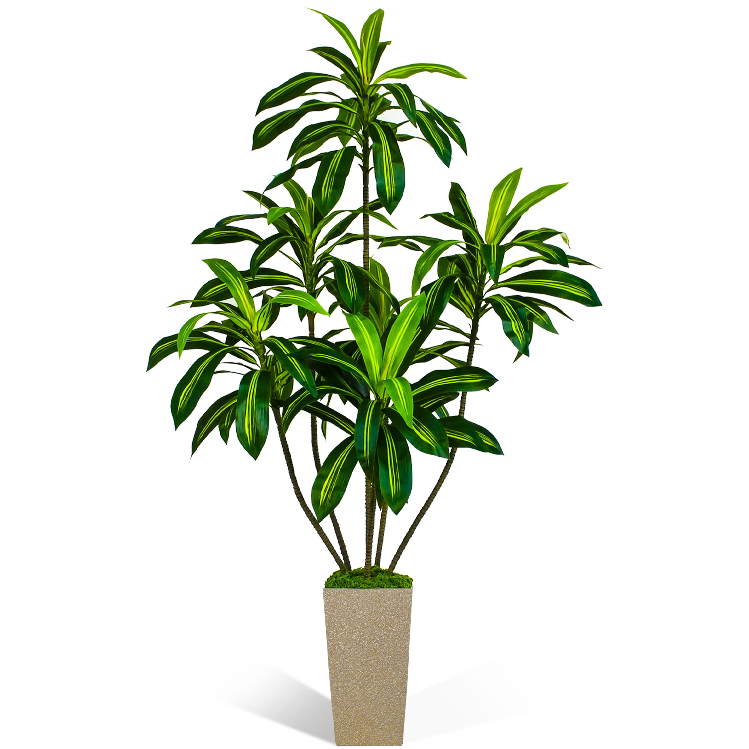 Artificial Dracaena Tree 6FT, 6 Feet Tall Fake Tree for Home Decor Indoor with Modern Style Planter, Artificial Silk Tree for Home Office Living Room Indoor, Lifelike & Lush (Champagne)