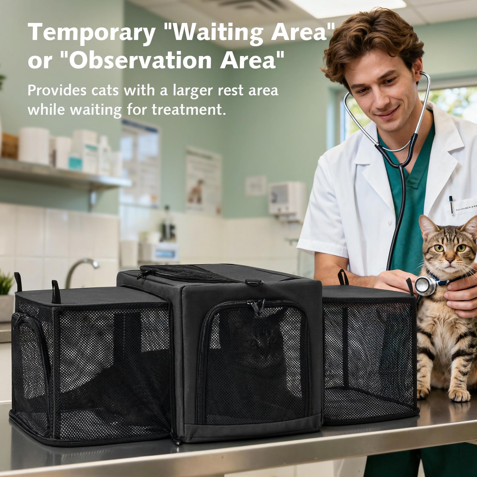 Pecute Transportbox Katze für Katzen & Kleine Hunde, Faltbar mit Seitenerweiterung, Atmungsaktiv Stabil, Ausbruchschutz, Für Auto Reisen Tierarzt, Dunkelgrau