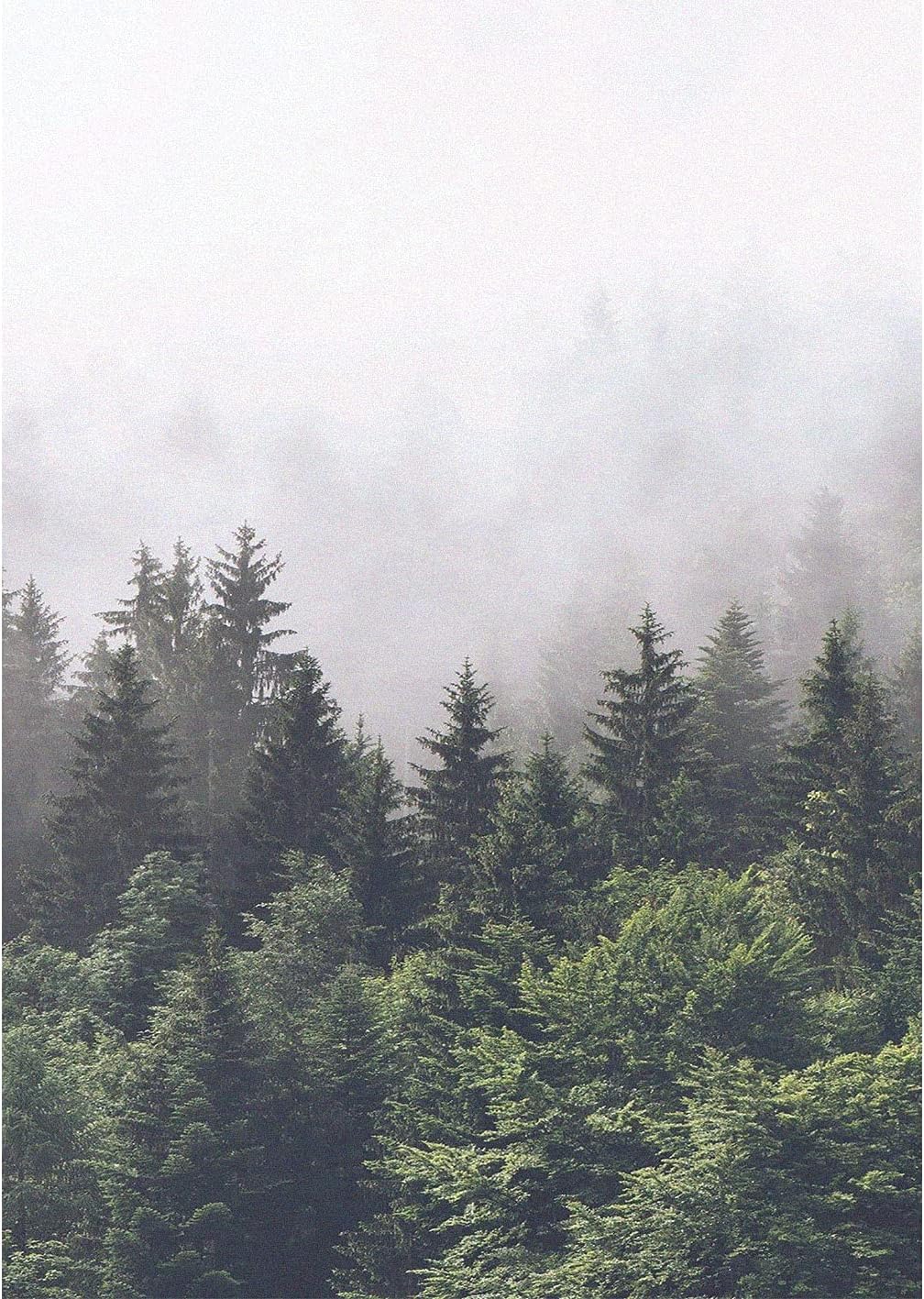 Privacy Window Film Forest Landscape Decorative Sun Blocking Static Cling Window Coverings Opaque Glass Sticker for Home Bathroom Heat Control W19.7 x H78.74(50x200cm)