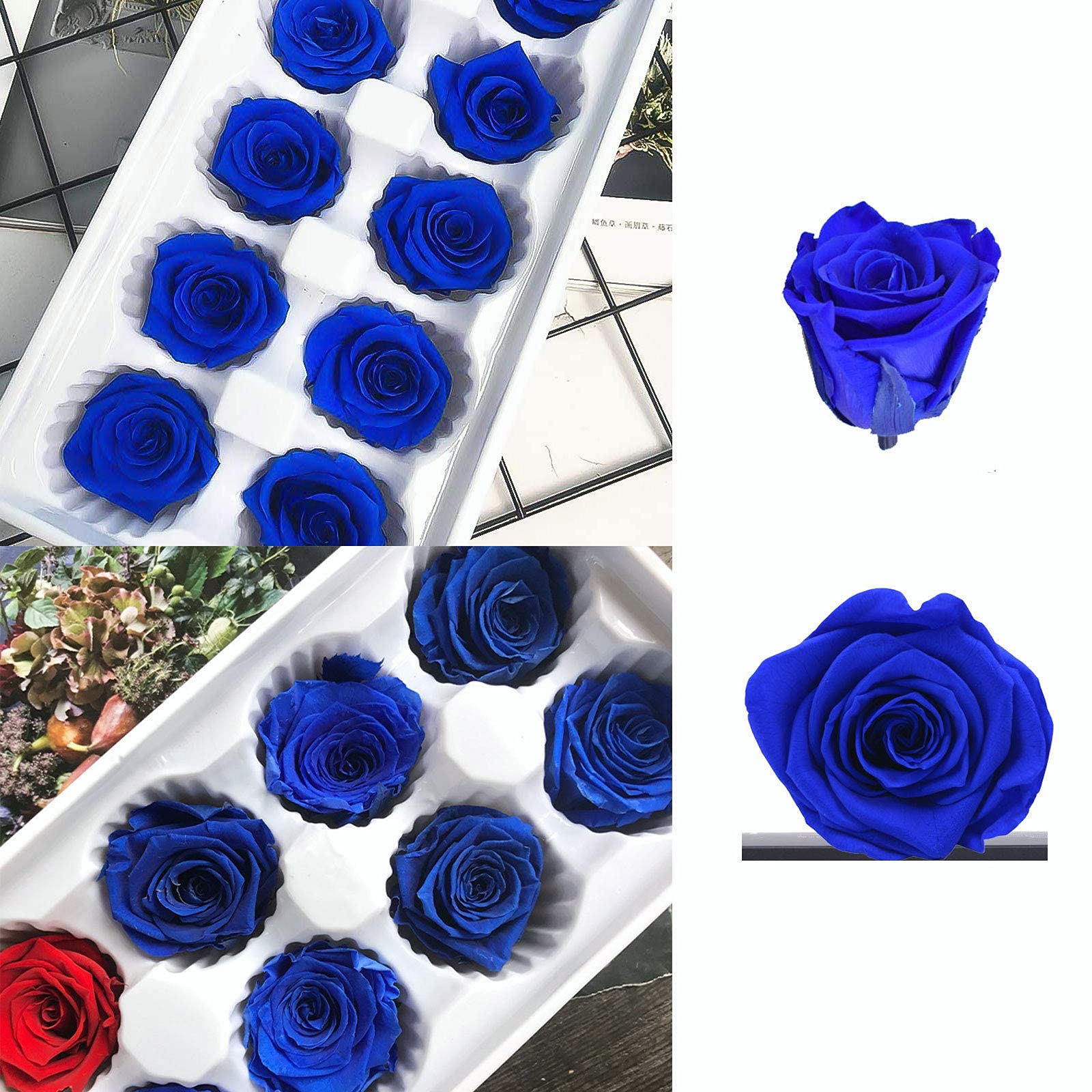 ドライフラワー 花材セット 55 ブルー 薔薇 - 通販 - guianegro.com.br