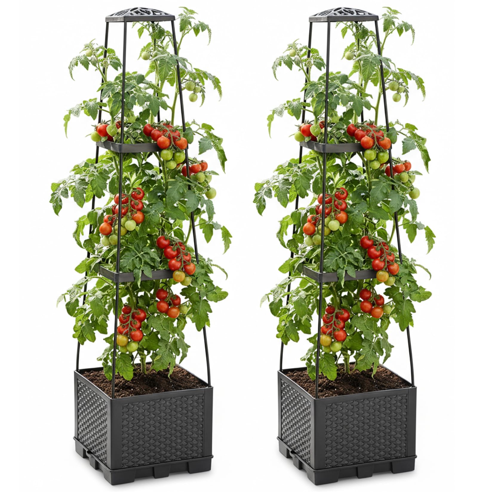 Jardinière surélevée avec treillis Lot de 2 bacs à fleurs 3 niveaux noir