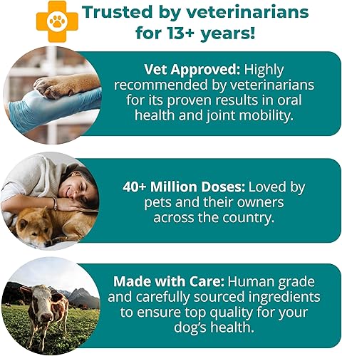 Miniatura 3 de Soporte natural de doble acción 1TDC  Geles suaves  Proporciona 4 principales beneficios para la salud para perros y gatos  Apoya la salud bucal la