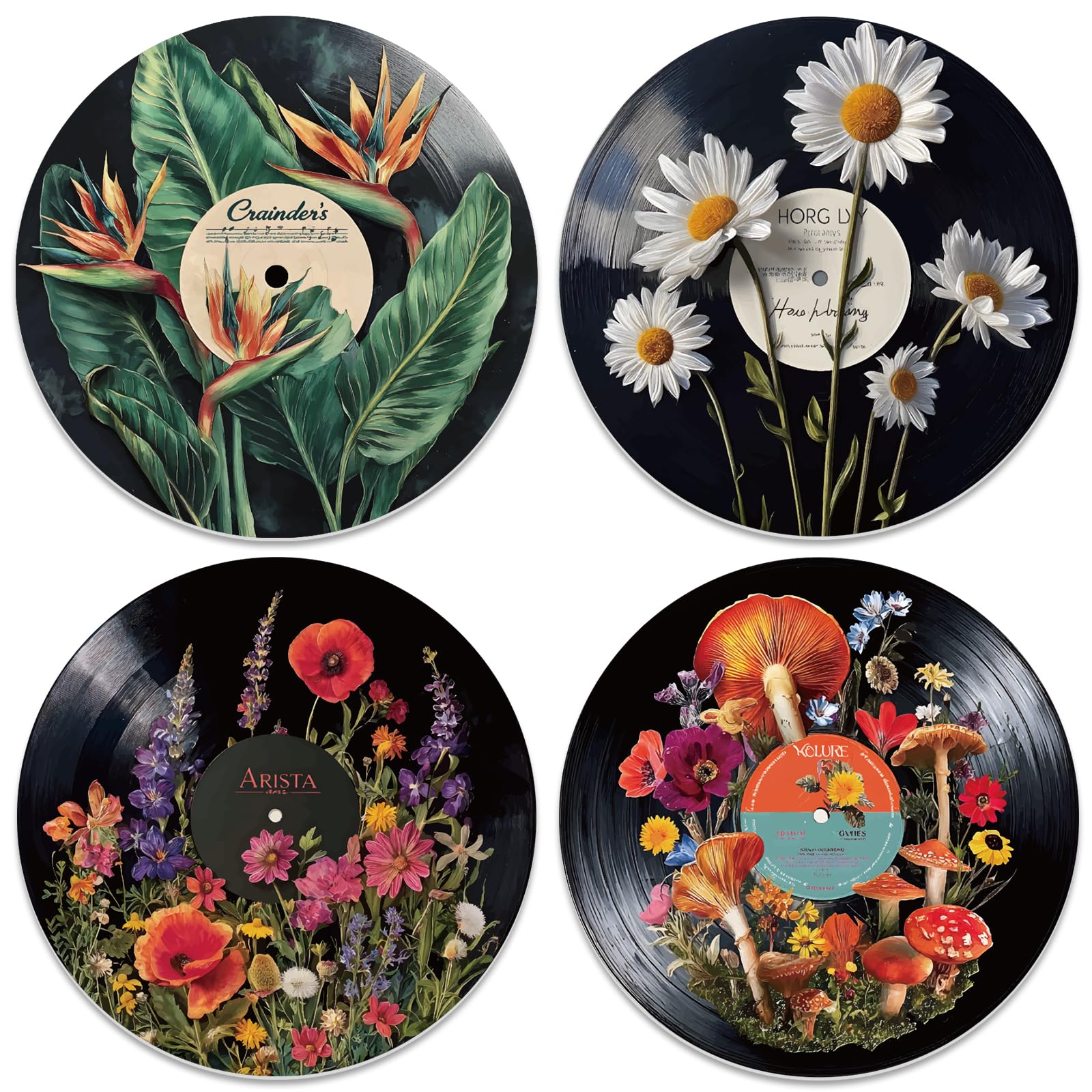 DOODLREAM 4 Pack Botanical Vinyl Record Decor 30 cm Aesthetic Wall Decor, Wall Art Trippy Records for Dorms Homes Offices Bedrooms Living Rooms