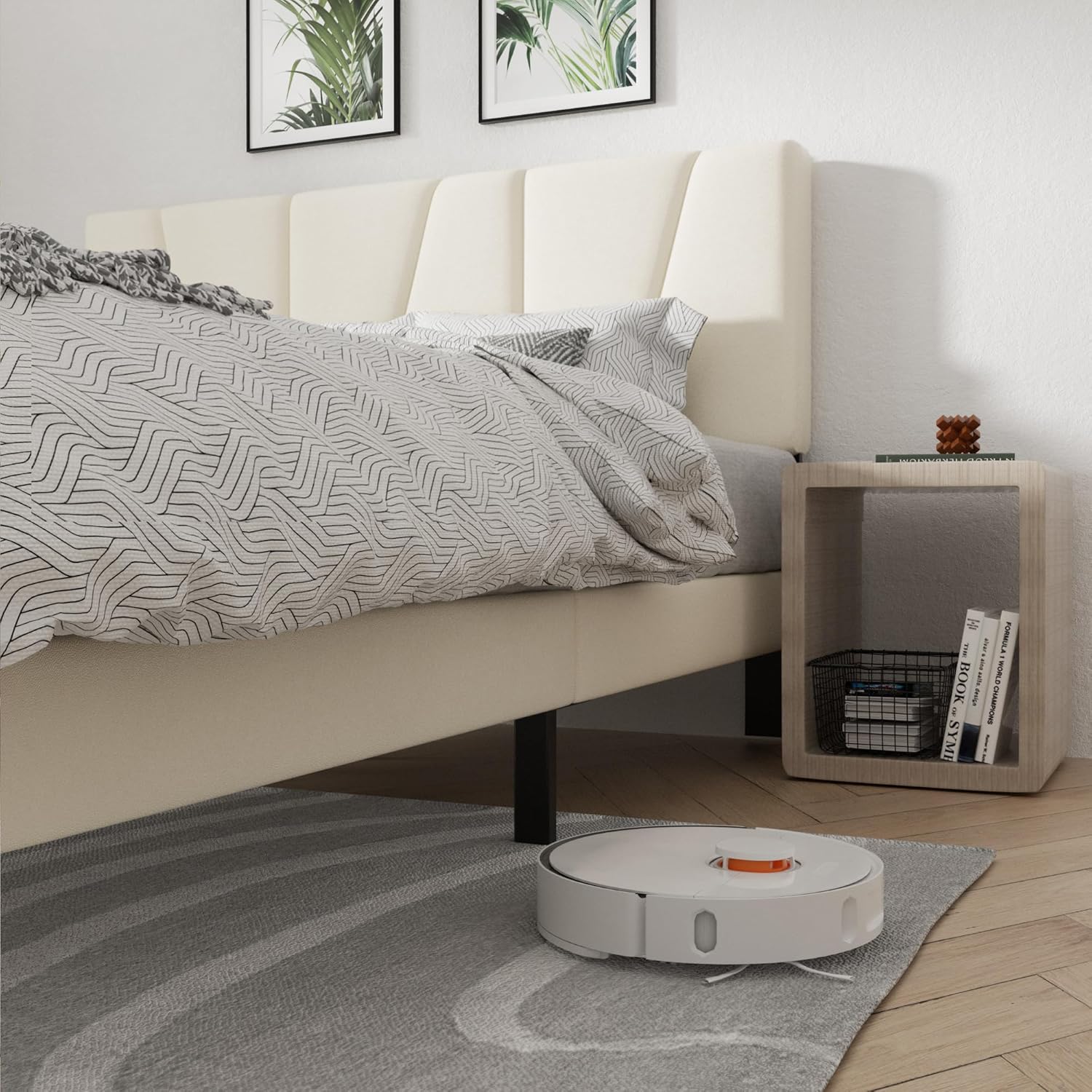 https://m.media-amazon.com/images/I/81IXuY9o-AL._AC_SL1500_.jpg