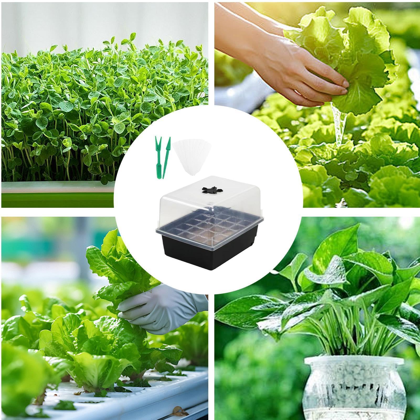 Kit per Germinazione Semi Vasi Starter Per La Coltivazione Delle Piantine