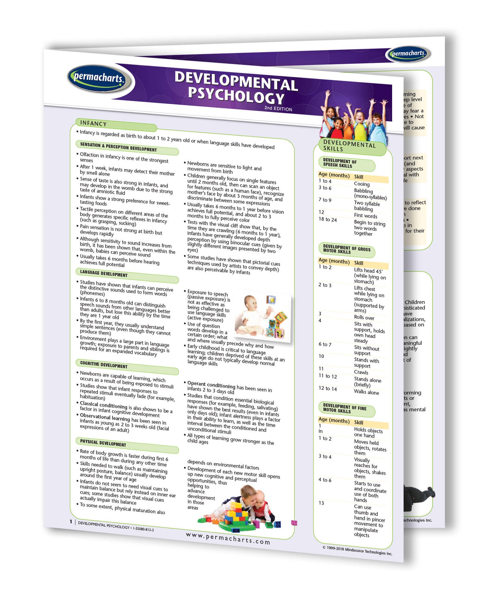 Developmental Psychology - Human Studies Quick Reference Guide by Permacharts