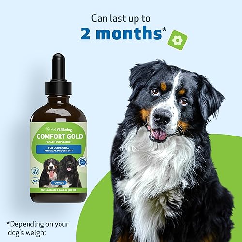 Miniatura 7 de Pet Wellbeing Comfort Gold para perros y gatos - Formulado por veterinarios - Apoya la comodidad física - Suplemento herbario natural 4 oz (4.0 fl