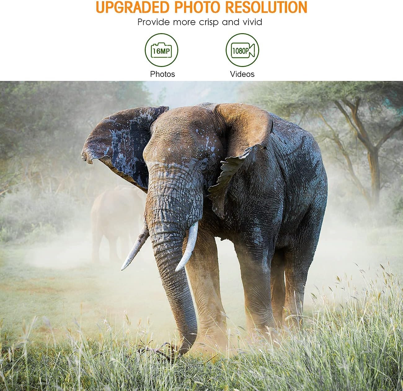 🔥 Cashback up to 70% Heegomn Trail Camera 16MP 1080P Game Cameras for Hunting with 32GB SD Card Wildlife Camera,IP66 Waterproof 120° Wide-Angle Motion Night Vision, 0.2s Trigger Time 2.4 LCD for Wildlife Monitoring