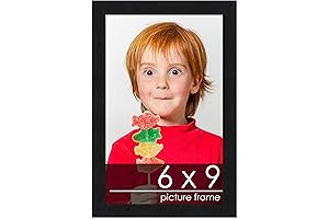 6x9 poster palooza Display Frame