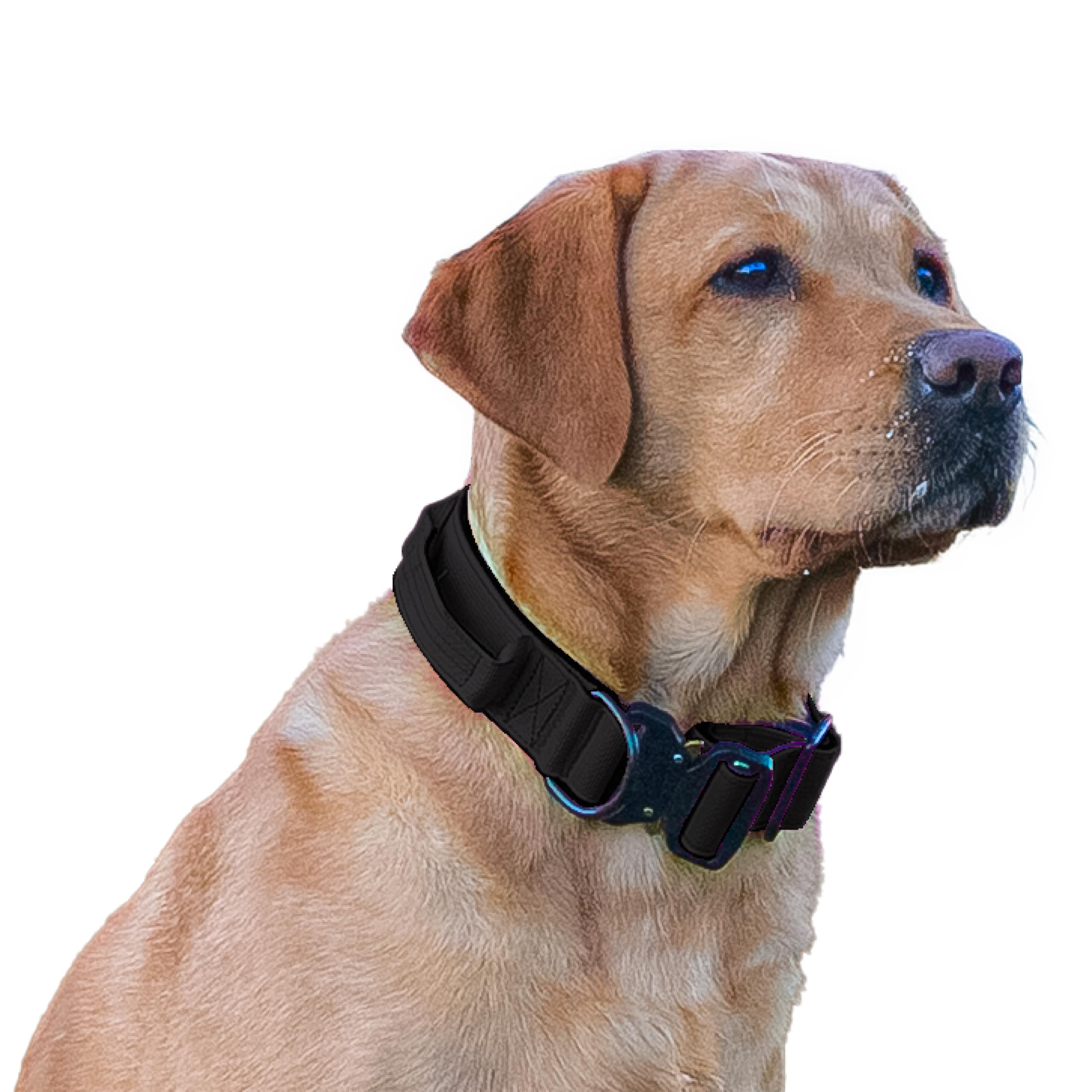 HugglePets Tactical K9 Endurance Adjustable Dog Collar, Black, Small 40-50cm โ image 1