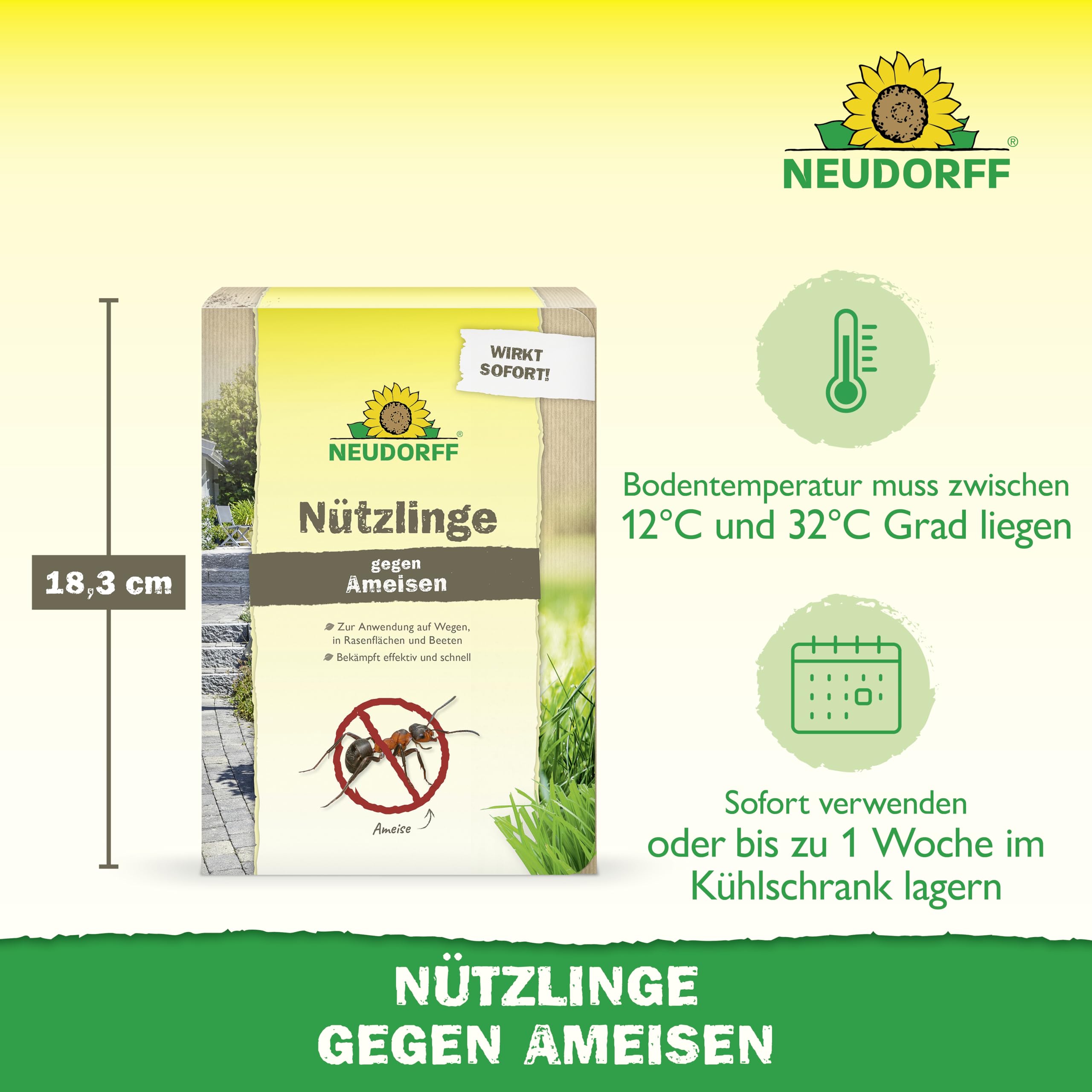 Neudorff Nützlinge gegen Ameisen – 10 Mio. SF-Nematoden zur natürlichen und schnellen Bekämpfung von Ameisen und Ameisennestern auf Rasen, Wegen & Co.