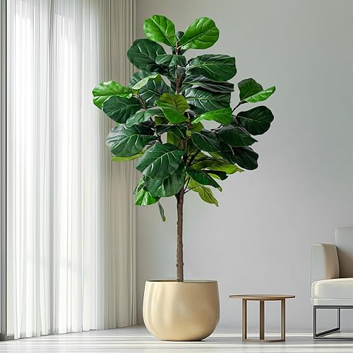 Árbol de hoja de violín artificial, planta sintética de 6 pies, árbol de ficus lyrata artificial, higuera artificial de seda con plantas de suelo