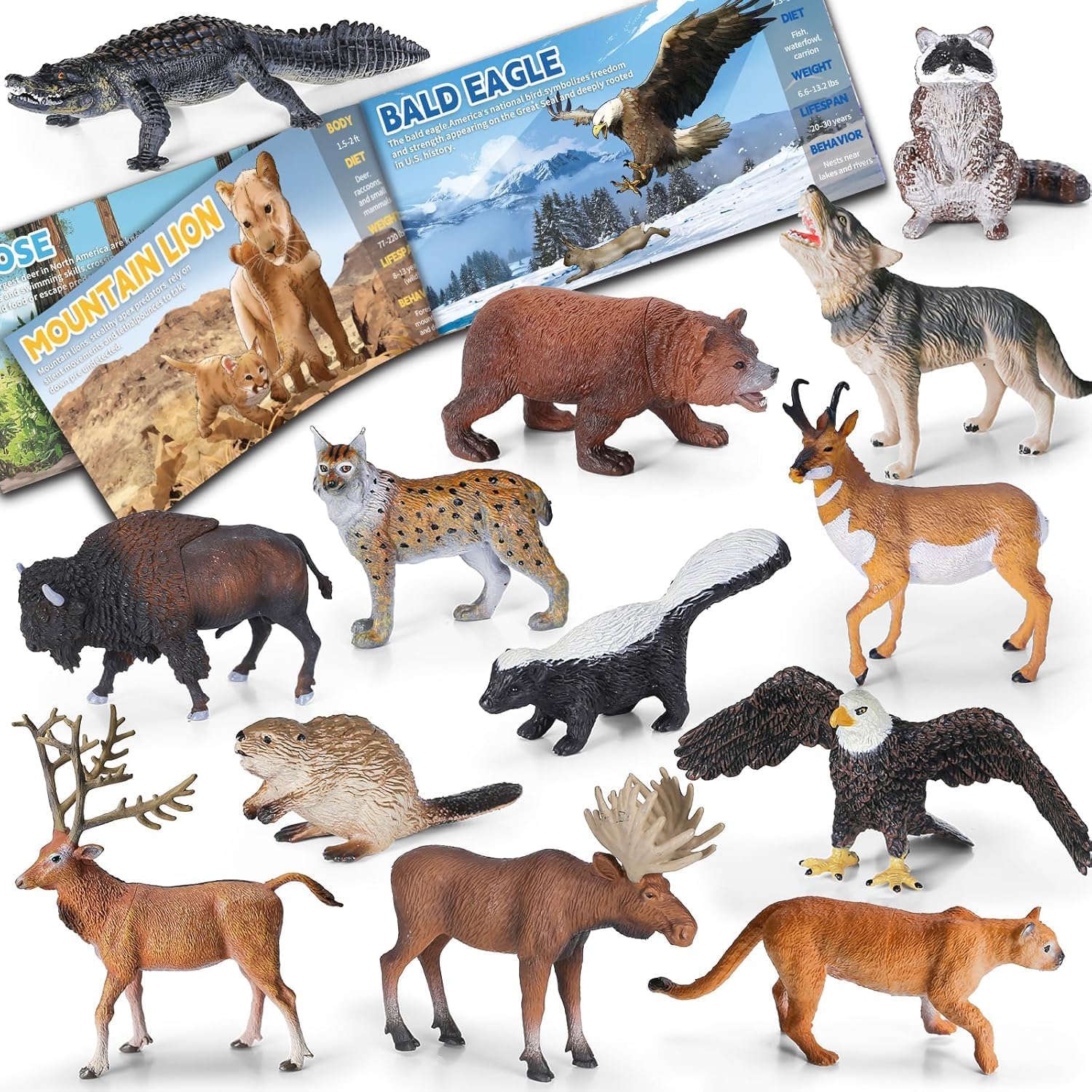13 Pcs North American Forest Animal Figure Set with Educational Booklet and Gift Box, Realistic Plastic Animals Toy for Kids, Jungle Theme Party Favor, Cake Topper, Birthday Gift for Toddler Boy Girl