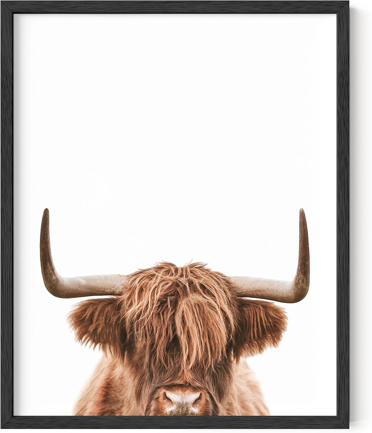 HAUS AND HUES Highland Cow Wall Art Highland Cow Print