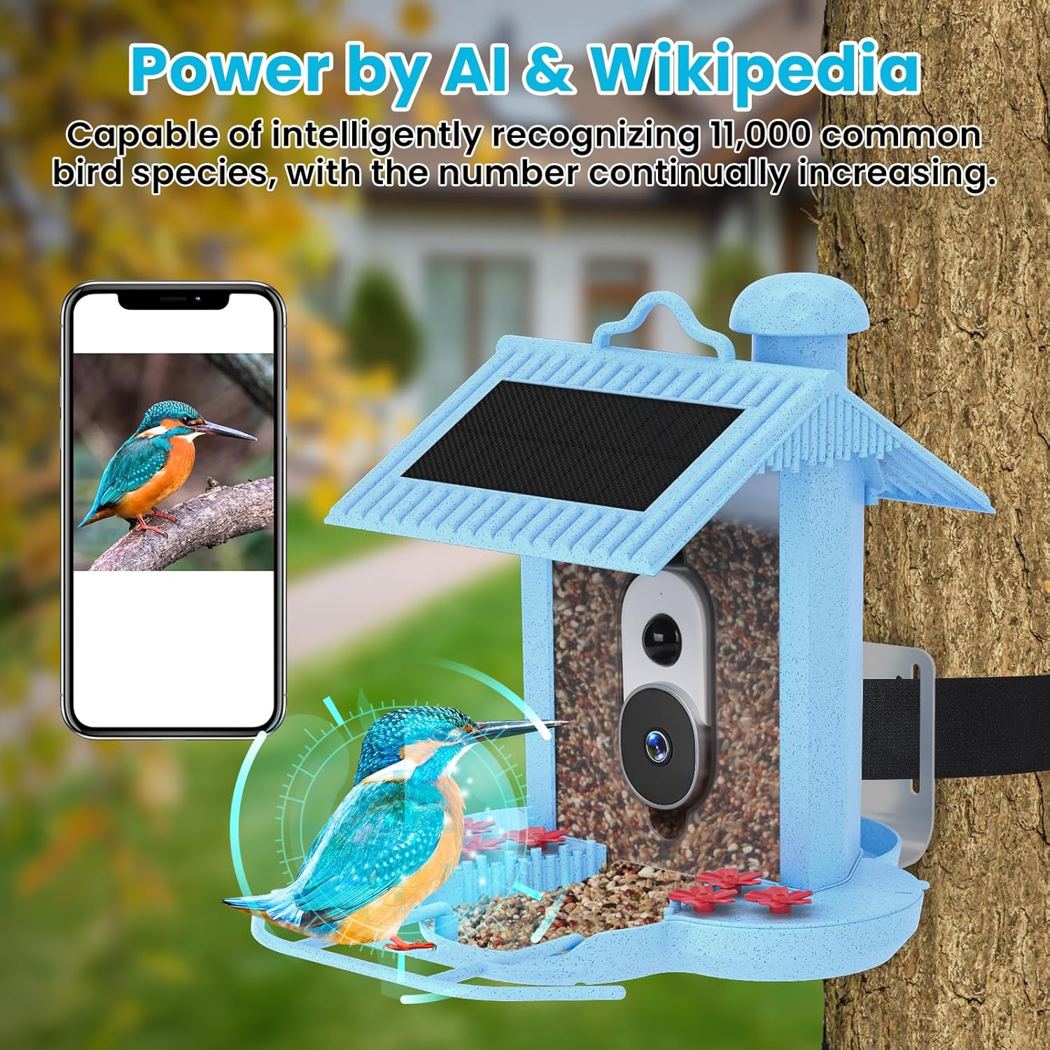 WISHBETY Bird Feeder SDC01 with AI recognition identifying a bird on a smartphone screen