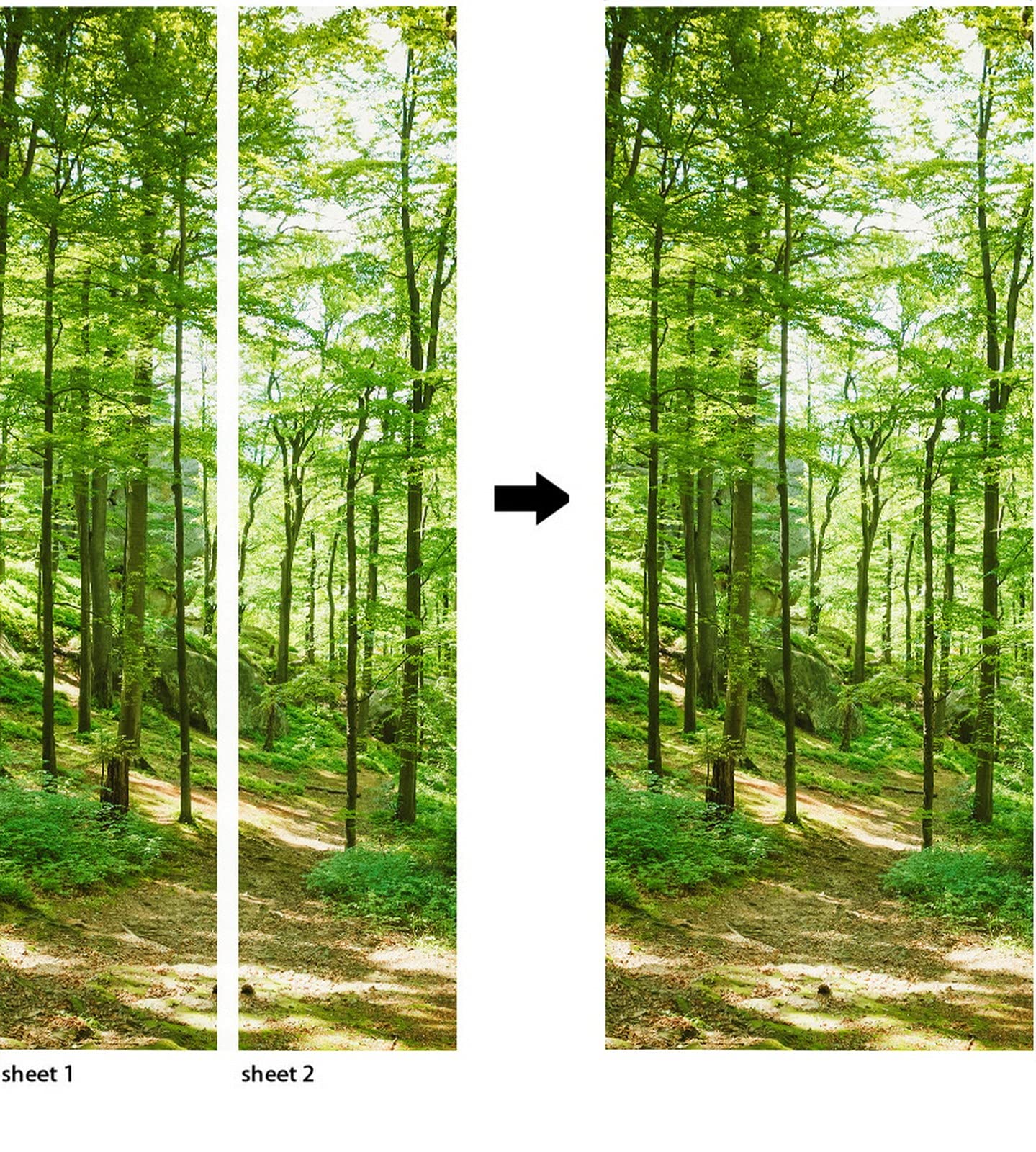 A.Monamour Adesivo Porta Autoadesiva Alberi Verdi Natura Foresta Paesaggio Vinile PVC Adesivi per Porte Interne 3D Pellicola Adesiva Poster Sticker Murale Decorazione da Parete Carta da Parati