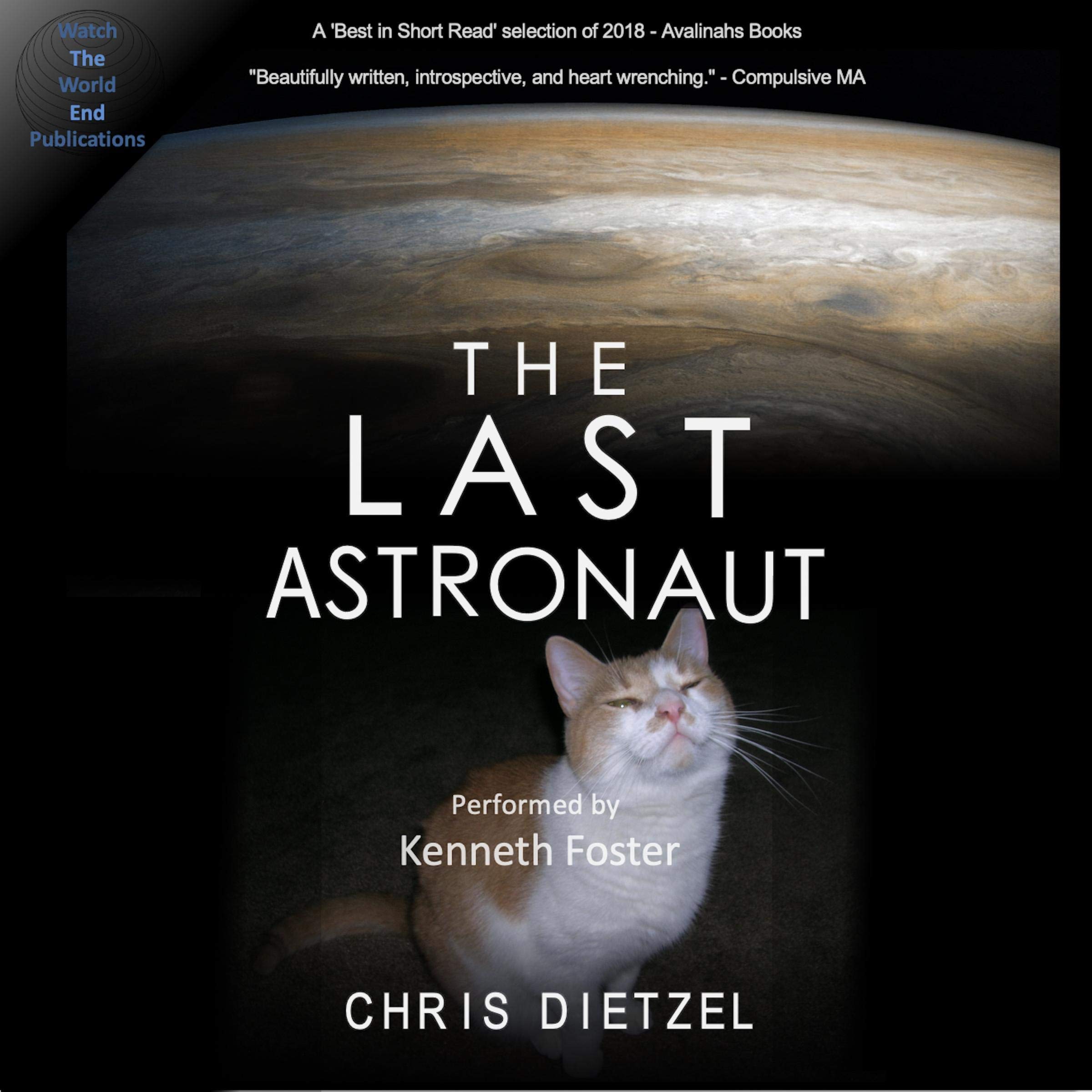 Cover art for The Last Astronaut