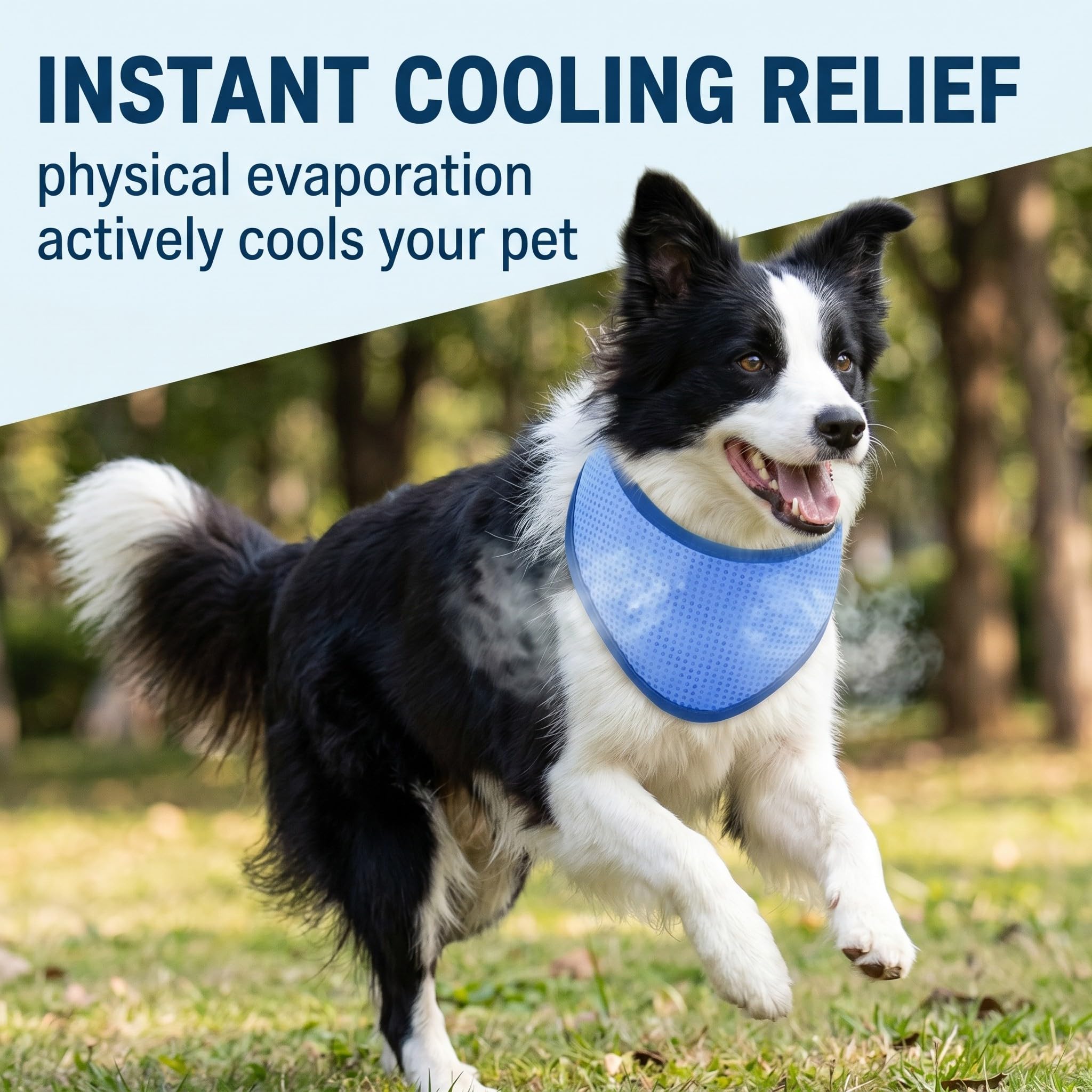 Collare rinfrescante per cane blu M, bandana fresca estiva 30-40 cm, accessorio riutilizzabile per passeggiate