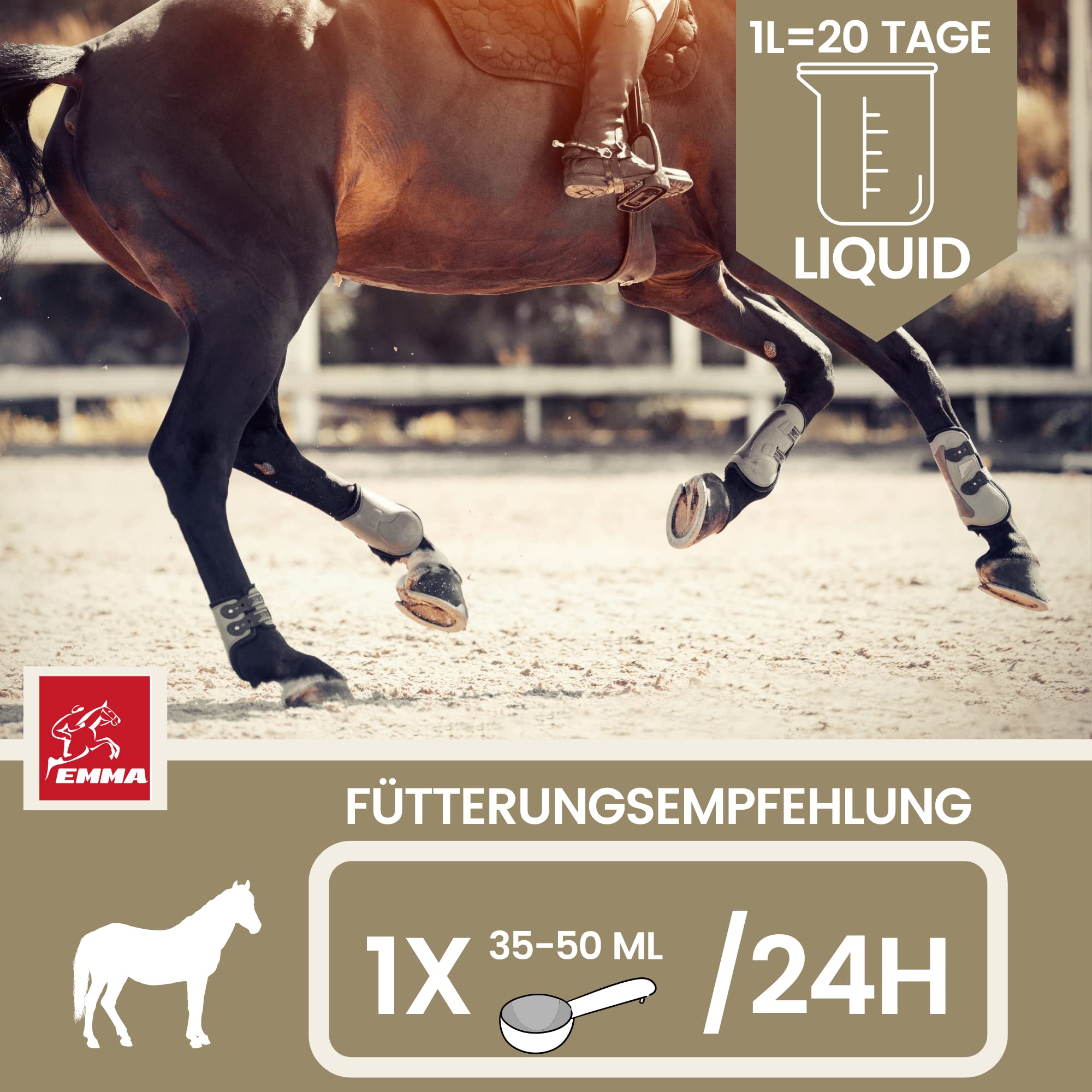 Electrolitos líquido + Pasta I electrolitos Caballo minerales Vitamina B12 oligoelementos I Sales de Sodio magnesio Caballo electrolitos diarrea vómito Agua sudoración Sales minerales Caballo 1L 30ml
